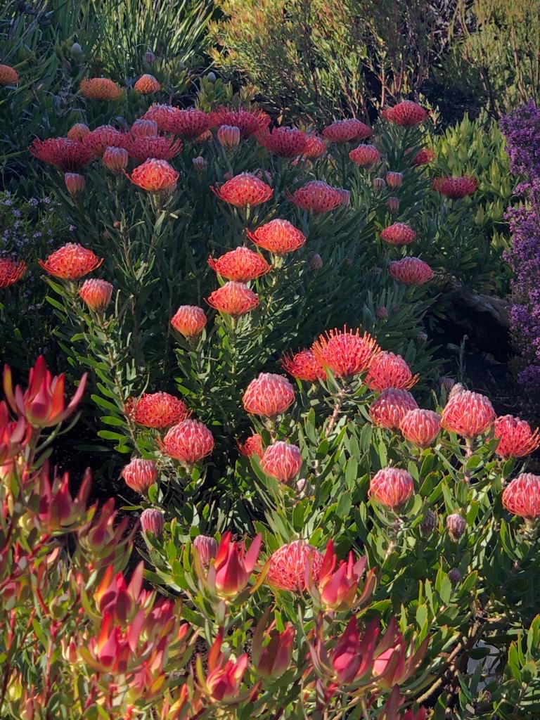 Commercial Property for Sale in Breakwater Bay Eco Estate Western Cape